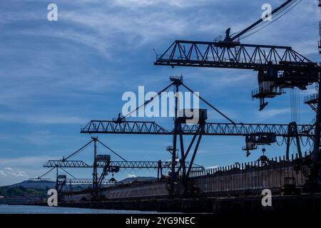 Silhouette von Kranichen entlang des Flusses Nervion auf Portugale, industriell nördlich von Bilbao, Baskenland, Spanien Stockfoto