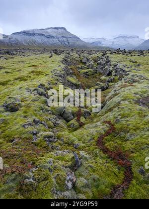 Lava mit Moos bewachsen. Berserkjahraun, ein Lavastrom auf der Halbinsel Snaefellsnes, der 4000 Jahre alt ist. Island. Stockfoto