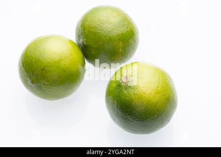 Drei ganze Limetten sind auf weißem Hintergrund angeordnet. Die Limetten sind grün mit einer holprigen Textur. Das Bild wird aus einem hohen Winkel aufgenommen und zeigt die Limetten Stockfoto