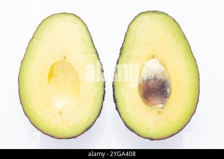 Zwei Hälften einer Reifen Avocado, die grünes Fleisch, braune Grube und glatte Haut zeigen, isoliert auf weißem Hintergrund. Stockfoto