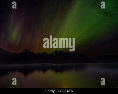 Nordlichter über der Stadt. Stadt Tasiilaq (früher Ammassalik genannt), Königreich Dänemark. Stockfoto