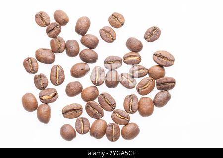 Eine Sammlung gerösteter Kaffeebohnen auf weißem Hintergrund, die ihre braune, ovale Form mit sichtbaren Rissen und ein paar Bohnen zeigen Stockfoto
