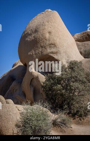 Skull Rock, Joshua Tree Nationalpark, Kalifornien Stockfoto