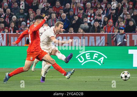 München, Deutschland. November 2024. München, Deutschland, 06. November 2024: Harry Kane (9 München) schießt während des UEFA Champions League-Fußballspiels zwischen dem FC Bayern München und Benfica Lissabon in der Allianz Arena in München. Philipp Kresnik (Philipp Kresnik/SPP) Credit: SPP Sport Press Photo. /Alamy Live News Stockfoto