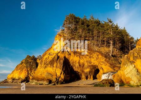 Fall Creek Wasserfall am Hug Point in der Nähe von Cannon Beach, Oregon, USA. Stockfoto