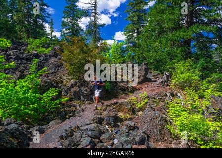 Wanderer auf dem Proxy Falls Trail, Three Sisters Wilderness, Oregon, USA. HERR) Stockfoto