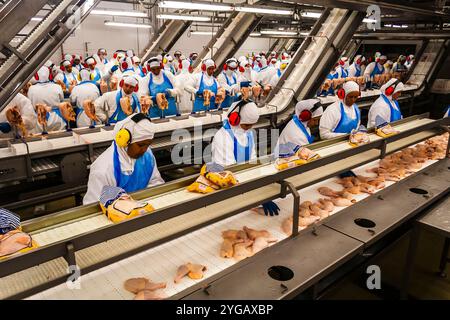 Sao Jose, Santa Catarina, Brasilien, 16. September 2009: Verfahren zur Verpackung von Hühnerfleisch in einer Lebensmittelindustrie im Bundesstaat Santa Catarina Stockfoto