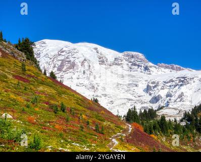 Washington State, Mount Rainier National Park. Blick auf Mount Rainier vom Alta Vista Trail mit lebhaftem Herbstlaub Stockfoto