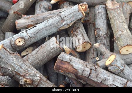 Holzstücke, die vom Holzfäller geschnitten werden, um sich aufzuwärmen Stockfoto