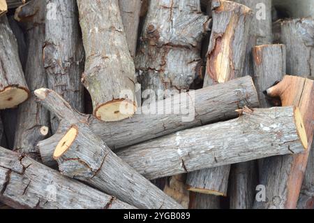 Holzstücke, die vom Holzfäller geschnitten werden, um sich aufzuwärmen Stockfoto