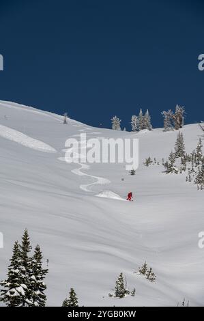 USA, Wyoming. Der Skifahrer genießt frisches Powder im Hinterland von Grand Targhee Stockfoto