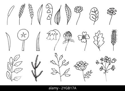 Handgezeichnetes Set von Kräutern, Pflanzen, Zweigen und Wildblumen. Botanische Vektorelemente im Vintage-Stil für Drucke, Etiketten, Banner, Rahmen und Rahmen Stock Vektor