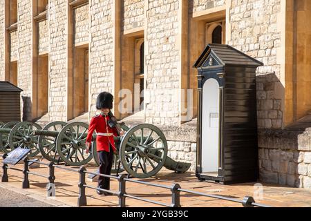 Tower of London Walisische Wache im Dienst und schützt die Waterloo-Kaserne September 2023 Hitzewellen-Wetter in London, volle zeremonielle Uniform, England Stockfoto