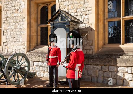 Tower of London waliser wachen Stockfoto