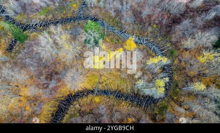 Aus der Vogelperspektive eines Blockstaus entlang eines Baches in den North Cascades, Washington State, USA Stockfoto