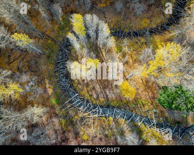 Aus der Vogelperspektive eines Blockstaus entlang eines Baches in den North Cascades, Washington State, USA Stockfoto