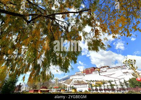 Lhasa, China. 6. November 2024. Das Foto vom 6. November 2024 zeigt die Herbstlandschaft des Potala-Palastes in Lhasa, der Hauptstadt der autonomen Region Xizang im Nordwesten Chinas. Quelle: Li Lin/China News Service/Alamy Live News Stockfoto