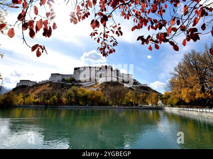 Lhasa, China. 6. November 2024. Das Foto vom 6. November 2024 zeigt die Herbstlandschaft des Potala-Palastes in Lhasa, der Hauptstadt der autonomen Region Xizang im Nordwesten Chinas. Quelle: Li Lin/China News Service/Alamy Live News Stockfoto