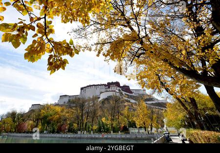 Lhasa, China. 6. November 2024. Das Foto vom 6. November 2024 zeigt die Herbstlandschaft des Potala-Palastes in Lhasa, der Hauptstadt der autonomen Region Xizang im Nordwesten Chinas. Quelle: Li Lin/China News Service/Alamy Live News Stockfoto