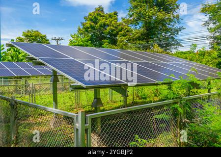 Kleiner Solarpark, Sonnenkollektor mit grünem ökologischem Pflanzenbaum, sonnigem blauem Himmel. Umweltfreundliche Energie saubere Energie für Naturschutz umweltfreundliches Technologiekonzept. Stockfoto