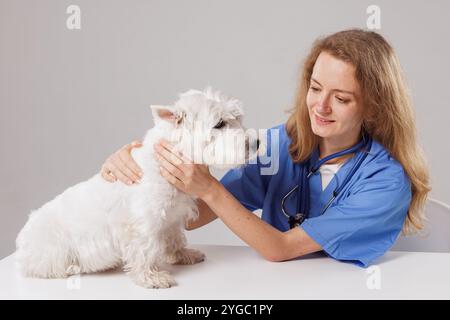 Schöne weibliche Tierärztin streichelt einen edlen Hund West Highland White Terrier. Gesundes Haustier, das von einem glücklichen Pflegearzt auf weißem Hintergrund untersucht wird Stockfoto