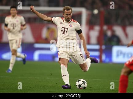 MÜNCHEN, DEUTSCHLAND - 06. NOVEMBER: Harry Kane vom FC Bayern München beim Spiel der UEFA Champions League 2024/25 Phase MD4 zwischen dem FC Bayern München und SL Benfica in der Football Arena München am 06. November 2024 in München. © diebilderwelt / Alamy Stock Stockfoto