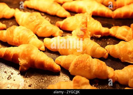 Frisch gebackene Croissants, die wunderschön auf einem Backpapier angeordnet sind, warten darauf, serviert zu werden Stockfoto