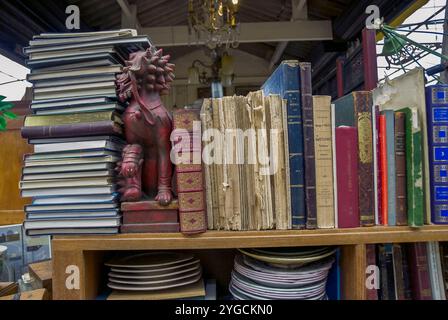 Paris, Frankreich, Nahaufnahme, ausgestellte Bücher aus Leder, Einkaufen, Flohmarkt, (Porte de Clignancourt), Antiquitätenmarkt, Alte Bücher Shop, Stockfoto