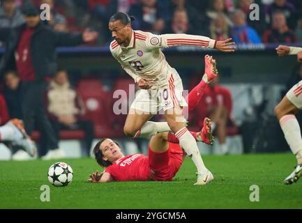 München, Deutschland. November 2024. Leroy SANE, FCB 10 wetteifern um den Ball, Tackling, Duell, Header, zweikampf, Action, Kampf gegen Alvaro Carreras, Liss 3 im Gruppenligaspiel FC BAYERN MÜNCHEN - SL BENFICA LISSABON 1-0 Fußball UEFA Champions League in der Saison 2024/2025 in München, 06. November 2024, FCB, 4. Spieltag, München Fotograf: ddp Images/STAR-Images Credit: ddp Media GmbH/Alamy Live News Stockfoto