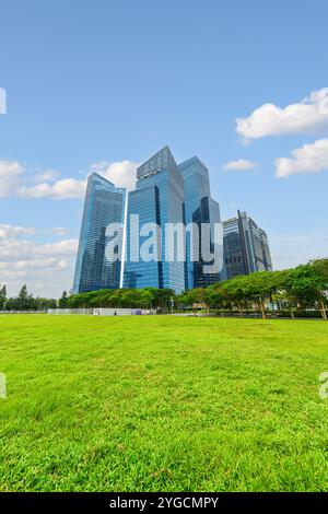 Blick auf die Wolkenkratzer in der Innenstadt über den grünen Rasen in Singapur Stockfoto