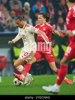 München, Deutschland. November 2024. Leroy SANE, FCB 10 wetteifern um den Ball, Tackling, Duell, Header, zweikampf, Action, Kampf gegen Alvaro Carreras, Liss 3 im Gruppenligaspiel FC BAYERN MÜNCHEN - SL BENFICA LISSABON 1-0 Fußball UEFA Champions League in der Saison 2024/2025 in München, 06. November 2024, FCB, 4. Spieltag, München Fotograf: ddp Images/STAR-Images Credit: ddp Media GmbH/Alamy Live News Stockfoto