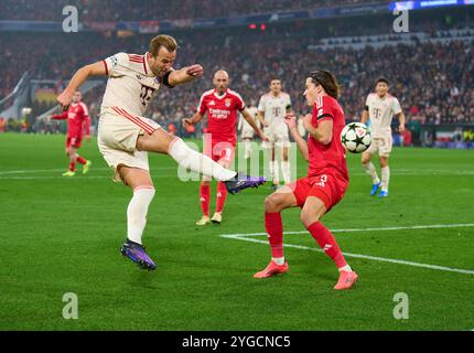 Harry Kane, FCB 9 tritt um den Ball an, Tackling, Duell, Header, zweikampf, Action, Kampf gegen Alvaro Carreras, Liss 3 im Gruppenligaspiel FC BAYERN MÜNCHEN - SL BENFICA LISSABON 1-0 Fußball UEFA Champions League in der Saison 2024/2025 in München, 06. November 2024, FCB, 4. Spieltag, München Fotograf: Peter Schatz Stockfoto