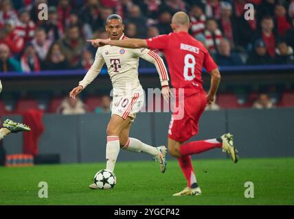 Leroy SANE, FCB 10 wetteifern um den Ball, Tackling, Duell, Header, zweikampf, Action, Kampf gegen Fredrik Aursnes, LISS 8 im Gruppenligaspiel FC BAYERN MÜNCHEN - SL BENFICA LISSABON 1-0 Fußball UEFA Champions League in der Saison 2024/2025 in München, 06. November 2024, FCB, 4. Spieltag, München Fotograf: Peter Schatz Stockfoto