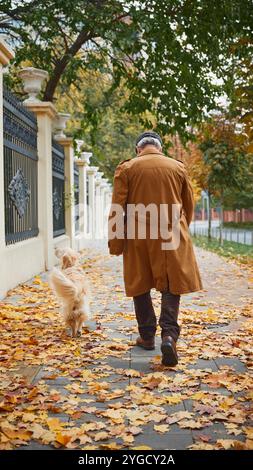 Rückansicht eines älteren Mannes im Vintage-Herbst-Outfit und spazieren mit seinem liebenswerten Haustier, dem goldenen Retriever. Stockfoto