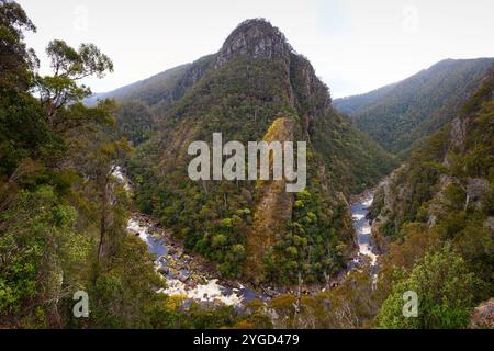 Leven Canyon - Tasmanien Stockfoto