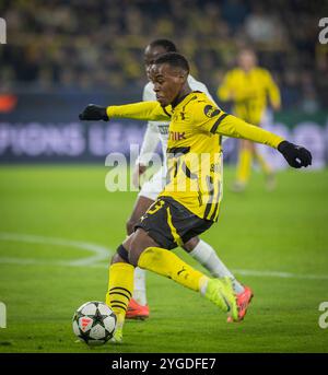 Dortmund, Deutschland. November 2024. Jamie Gittens (BVB) Borussia Dortmund - Sturm Graz 05.11.2024 Copyright (nur für journalistische Zwecke) by : Stockfoto