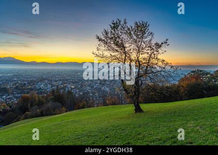 Panorama Sonnenuntergang im Rheintal, mit einem Baum, blauem Himmel über der Stadt Dornbirn, Wiese und Feldern. Herbstfarbene Bäume. Wunderschönes Nachglühen Stockfoto