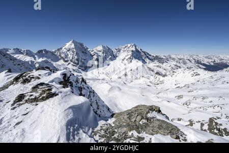 Bergpanorama mit schneebedeckter Berglandschaft im Winter, Blick auf die Berggipfel Königsspitze, Monte Zebru und Ortler, Gipfel der Madritschspi Stockfoto