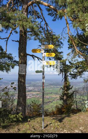 Verschiedene Wanderschilder am Raichberg am Albtrauf, Onstmettingen, Zollernalbkreis, Baden-Württemberg, Deutschland, Europa Stockfoto