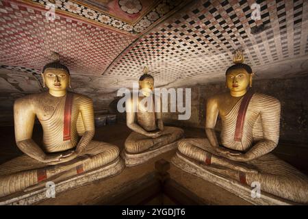 Sitzende Buddha-Statuen im Dambulla-Höhlentempel, Dambulla, Zentralprovinz, Sri Lanka, Asien Stockfoto