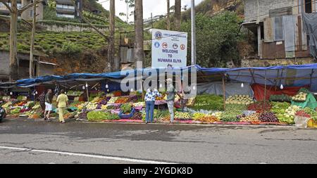 Gemüsestand in Nuwara Eliya, Zentralprovinz, Sri Lanka, Asien Stockfoto