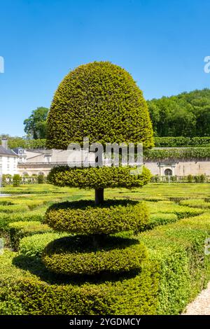 Buxus-Bäume auf Schloss Villandry in Frankreich Stockfoto