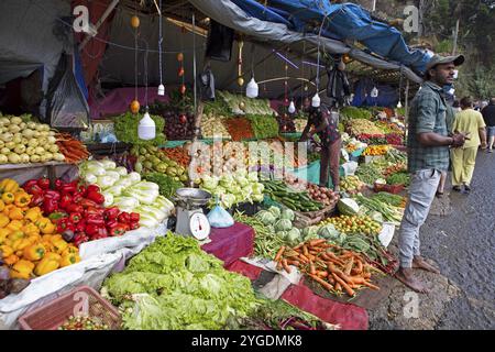 Gemüsestand in Nuwara Eliya, Zentralprovinz, Sri Lanka, Asien Stockfoto