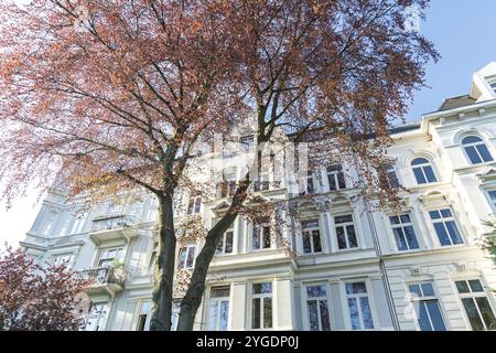 Weiße Fassade eines wunderschönen historischen Apartmentgebäudes Stockfoto