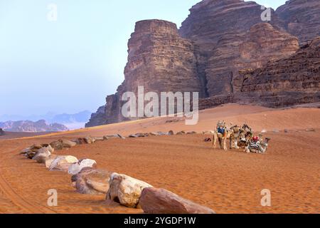 Jordanien, Kamelkarawane ruht in der majestätischen Wadi Rum Wüste, Tal des Mondes. Landschaft mit Sandstein Bergfelsen, Asien Stockfoto