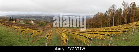 Morgenatmosphäre auf dem Weinberg, Nebel driftet über die bewaldete Hügellandschaft im Tal, Panoramaaufnahme, St. Andrae-Hoech, Sausal Weinland, S Stockfoto