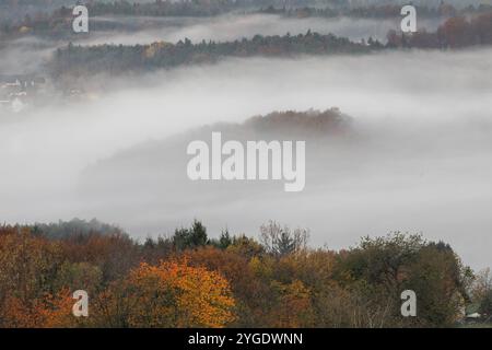 Herbststimmung am frühen Morgen, Nebel driftet durch die hügelige Landschaft, St. Andrae-Hoech, Sausal Weinland, Steiermark, Österreich, Europa Stockfoto