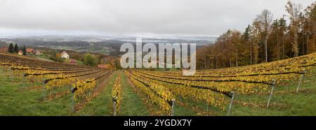 Morgenatmosphäre auf dem Weinberg, Nebel driftet über die bewaldete Hügellandschaft im Tal, Panoramaaufnahme, St. Andrae-Hoech, Sausal Weinland, S Stockfoto