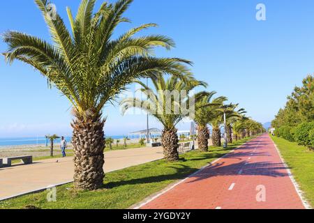 Batumi, Georgia, 30. April 2017: Palmenallee an der Promenade von Batumi, Georgia und Fahrradstraße, Asien Stockfoto