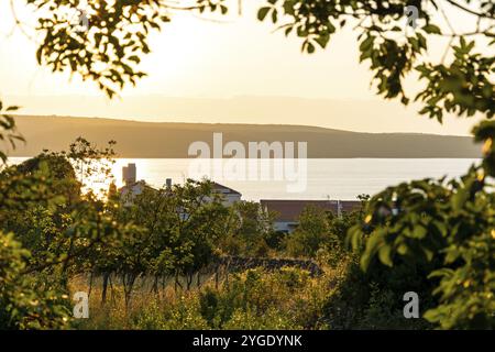 Sonnenaufgang in Nerezine auf der Insel Losinj in der Adria, Kroatien, Europa Stockfoto